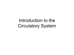 Introduction to the Circulatory System