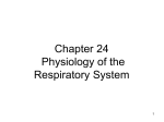 Chapter 7 Body Systems