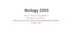 Respiratory Part Review