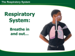 Respiratory System