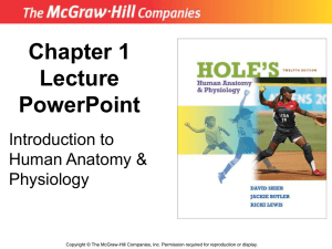 PowerPoint to accompany Hole`s Human Anatomy