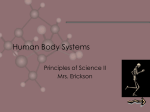 The digestive system breaks down food to be used in