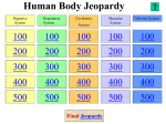 New Jeopardy Human Body/Systems New Human Body