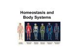 Human Body Systems