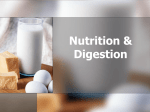 Nutrition & Digestion - Baldwin Schools Teachers