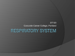ST120 Respiratory System