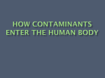 How Contaminants Enter the Human Body
