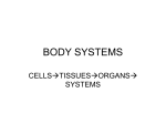 BODY SYSTEMS