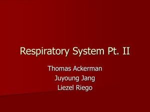 Respiratory System Pt2
