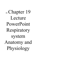 Respiratory system