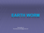 Earthworm - World of Teaching