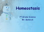 Homeostasis-Temperature