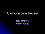 Cardiovascular Review