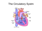 Circulatory System powerpoint