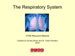HS_7-4_Parts of the Respiratory System