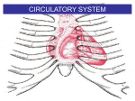 Right atrium