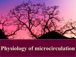 29 Physiology of microcirculation