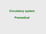 Circulatory system