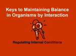 Maintaining Balance in Organisms