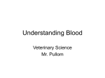 Understanding Blood