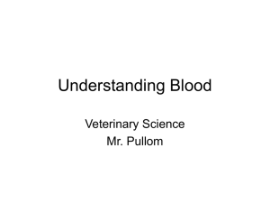 Understanding Blood