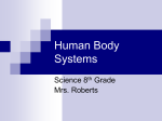 Human Body Systems Notes for Coloring