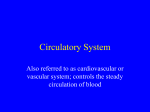 Chp.6 Circulatory System 1