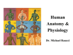 Anatomy & Physiology 2013