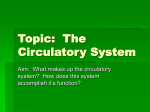 Topic: The Circulatory System