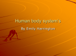 Human body system`s