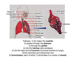 Residual volume