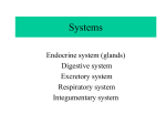 Systems - TeacherWeb