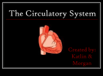 Circulatory system.pps