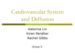 Cardivascular System and Diffusion
