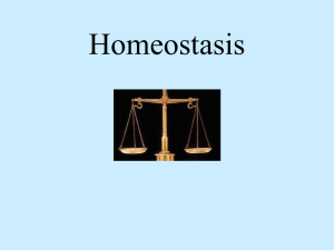 Homeostasis