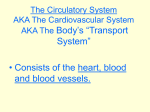 The Circulatory Systemppt