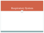 Respiratory System