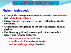 lecture_17_taxonomy