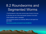 8.2 Roundworms and Segmented Worms