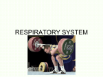 respiratory system