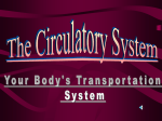 THE CIRCULATORY SYSTEM