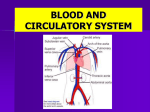 BLOOD AND CIRCULATORY SYSTEM