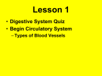 Circulatory System