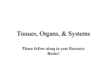 Tissues, Organs, & Systems