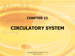 CIRCULATORY SYSTEM