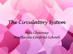 The Circulatory System