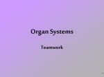 Human System Powertool with pictures