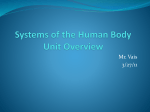 Systems of the Human Body