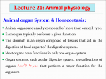 Principals of General Zoology (Zoo-103)