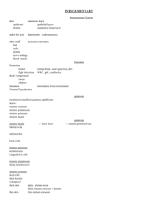 INTEGUMENTARY